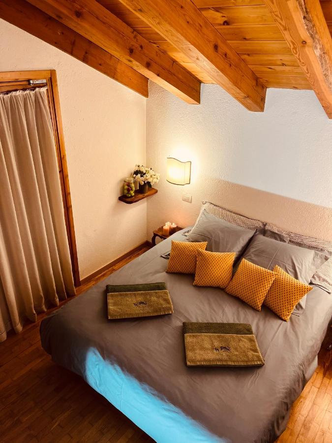 Chalet Blanc "Coeur Sapin" 库马约尔 外观 照片