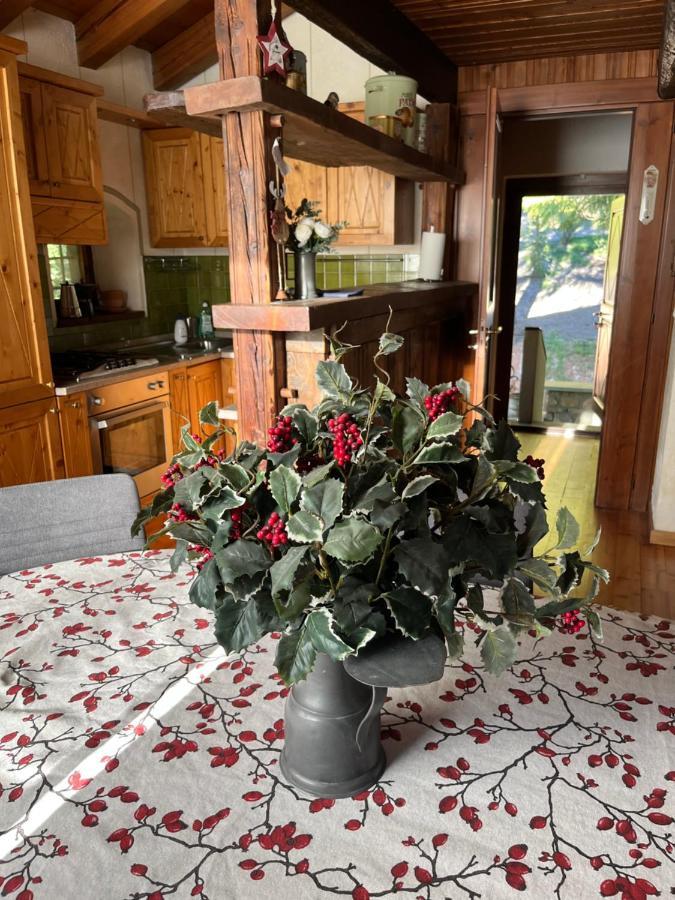 Chalet Blanc "Coeur Sapin" 库马约尔 外观 照片
