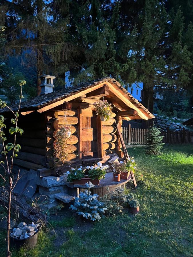 Chalet Blanc "Coeur Sapin" 库马约尔 外观 照片